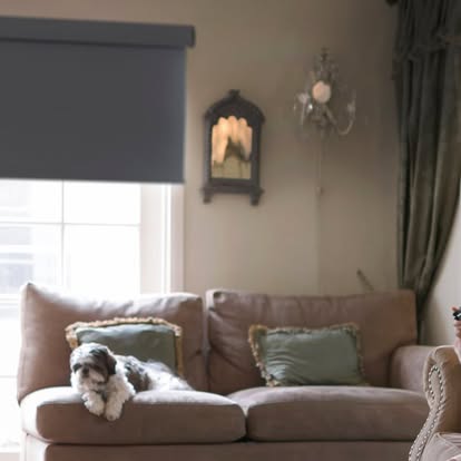 Gray roller shade lowered in a traditional living room with a small dog resting on a beige sofa