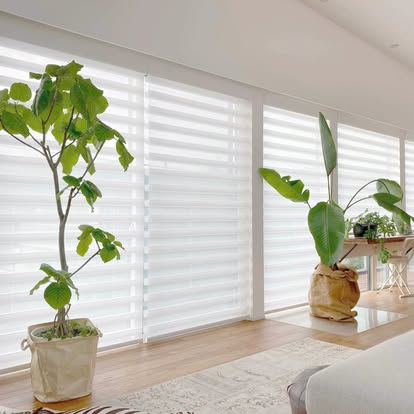 Sheer horizontal shades diffusing bright daylight in a living room filled with large potted plants